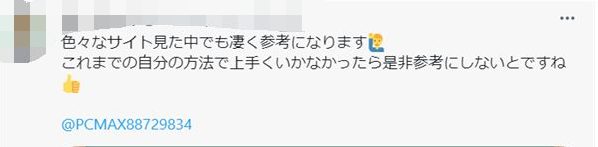 アダルト掲示板への投稿文